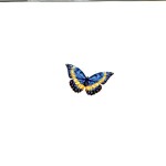 Document_20250926_0005